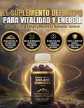 Golden Vitality Shilajit Gummies x60